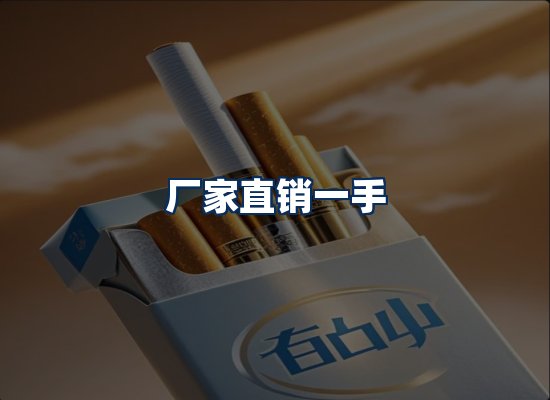 专业团队办公环境